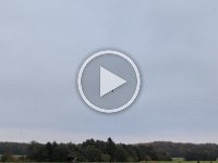 Fasanjagt i roer